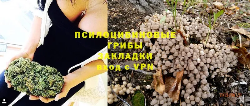 omg ссылки  Кирово-Чепецк  Галлюциногенные грибы Magic Shrooms 